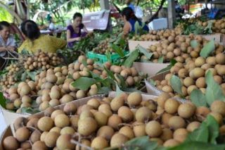 Mỹ nhập siêu hơn 29 tỷ USD từ Việt Nam năm 2016