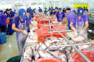 Nuôi trồng thủy sản ước đạt 210.000 tấn trong tháng 1