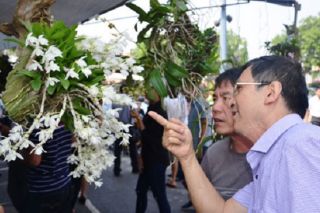 Tưng bừng ngày hội triển lãm hoa lan tỉnh Bắc Ninh mở rộng lần thứ Nhất