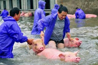 Lũ lớn ở Trung Quốc, hàng chục người thiệt mạng
