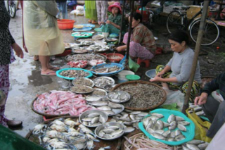 Bảo đảm an toàn thực phẩm trong mùa bão, lũ
