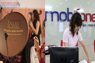 Thanh tra Chính phủ: Thiệt hại do Mobifone mua nợ phải trả của AVG là 1.134 tỉ đồng