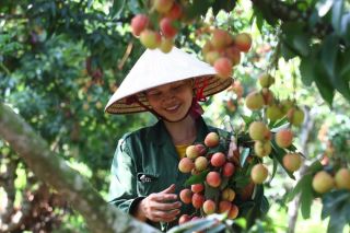 Thương hiệu Việt và những yếu tố cộng hưởng