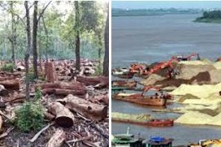 Phó Thủ tướng chấn chỉnh tình trạng phá rừng, khai thác cát, sỏi trái phép