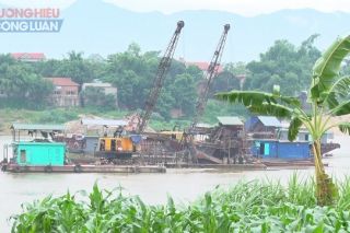Phú Thọ: Ngăn chặn khai thác cát trái phép ở vùng giáp ranh