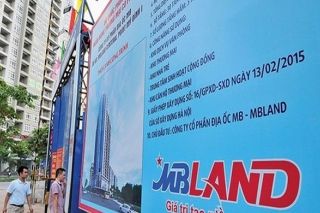 Lộ diện các nhà đầu tư đấu giá cổ phần MBLand