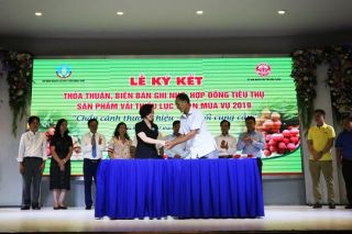 Khai mạc ‘Tuần lễ Vải thiều Lục Ngạn’ tại Hà Nội