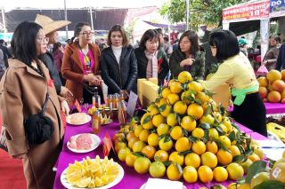 Đưa nông sản, thực phẩm của tỉnh Hòa Bình vào hệ thống siêu thị Co.opmart