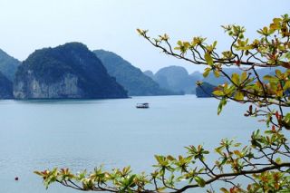 Đề xuất miễn phí thăm vịnh Hạ Long cho người dân cả nước trong tháng 5