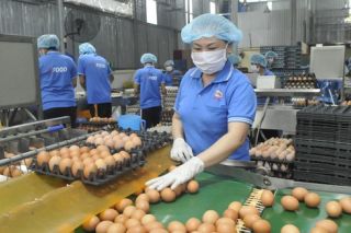 Đề nghị giảm 30% thuế năm 2020 với DN nhỏ và siêu nhỏ để phát triển kinh tế
