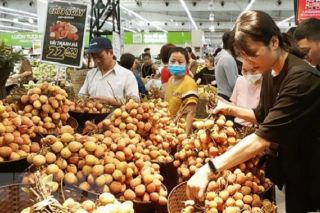 Đa dạng các hoạt động xúc tiến thương mại, kích cầu tiêu dùng nội địa