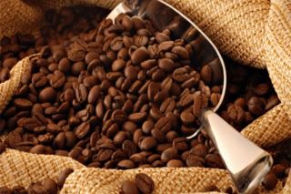Khẳng định thương hiệu cà phê Việt tại thị trường Bắc Phi