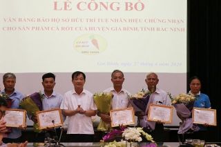 Bảo hộ sở hữu trí tuệ nhãn hiệu chứng nhận cho cà rốt Gia Bình