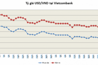 Doanh nghiệp Việt loay hoay ứng phó rủi ro tỷ giá