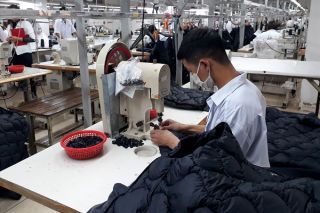 Hơn 45.000 doanh nghiệp chấm dứt kinh doanh trong 7 tháng