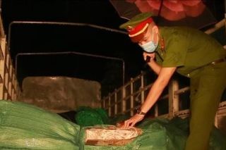 Lào Cai: Phát hiện 2,8 tấn chân gà đông lạnh không rõ nguồn gốc