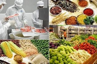 9 hàng hoá được miễn kiểm tra nhà nước về thực phẩm nhập khẩu