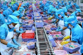 Phê duyệt Danh sách “Doanh nghiệp xuất khẩu uy tín” năm 2019