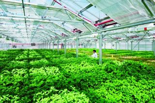 Thanh Hóa: Tạo điều kiện để doanh nghiệp tiếp cận các nguồn vốn tín dụng