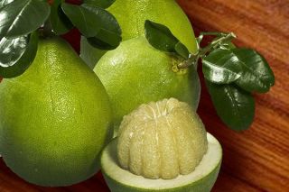 Chi Lê thông báo mở cửa thị trường cho quả bưởi tươi Việt Nam