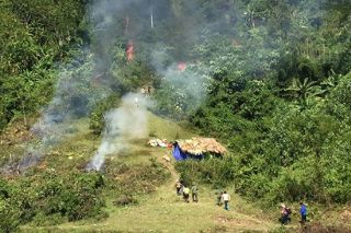 Diễn tập phòng cháy chữa cháy rừng tại Tuyên Quang
