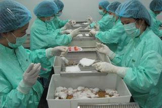 Đã có giá dự kiến Vaccine COVID-19 đầu tiên của Việt Nam