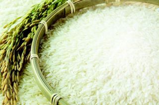 Giá lúa gạo tăng trở lại