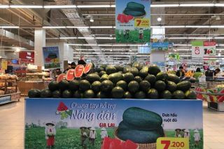 Nguồn hàng thực phẩm thiết yếu tại các siêu thị dồi dào, giá ổn định