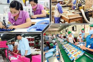 Bộ Tài chính: Trình Chính phủ Nghị định gia hạn thuế cho doanh nghiệp