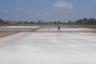 Bạc Liêu: Công bố Di sản văn hóa phi vật thể quốc gia “Nghề làm muối ở Bạc Liêu”