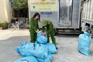 Hà Tĩnh: Phát hiện gần 500kg mỡ lợn không rõ nguồn gốc xuất xứ