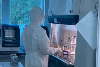 Virus trên bệnh nhân ở Hải Dương, Quảng Ninh tương tự chủng mới ở Anh