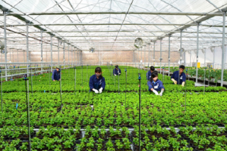 Lao động hết hạn hợp đồng có thể ở lại Hàn Quốc làm việc đến năm 2022