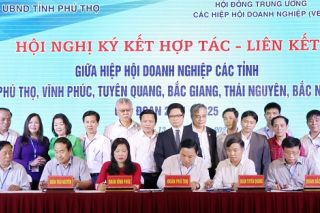 Đẩy mạnh liên kết, hợp tác hiệp hội doanh nghiệp các tỉnh trung du miền núi phía bắc
