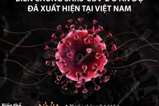 Phát hiện hai biến thể mới của virus SARS-CoV-2 tại Việt Nam
