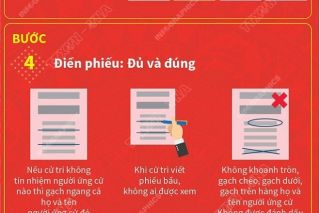 Quy trình 6 bước cử tri thực hiện khi đi bầu cử