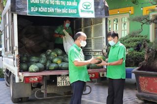 Công ty CP Công nông nghiệp Tiến Nông đồng hành cùng nông dân tỉnh Bắc Giang tiêu thụ sản phẩm