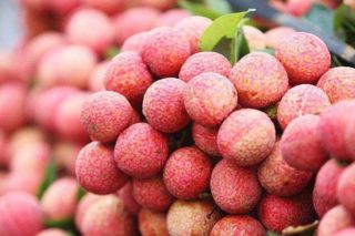 Lạng Sơn: Đẩy mạnh hỗ trợ tiêu thụ nông sản trên địa bàn huyện Hữu Lũng