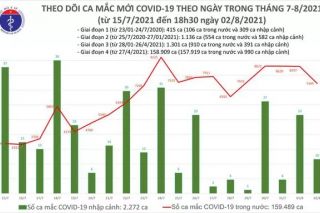 Tối 2/8: Thêm 4.254 người mắc COVID-19, nâng số ca mắc trong ngày lên 7.455