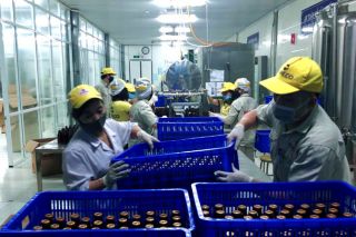 Giải pháp tháo gỡ khó khăn giúp doanh nghiệp phục hồi, đảm bảo việc làm cho người lao động