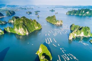 Ngành du lịch chuẩn bị cho sự trở lại sau đại dịch