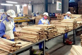 Tháng 8/2021: Kim ngạch xuất khẩu gỗ và sản phẩm gỗ vào thị trường Canada đạt 12,6 triệu USD