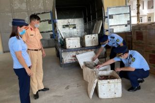 Phát hiện gần 200 kg nội tạng động vật không đảm bảo an toàn thực phẩm
