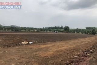 Đồng Nai: Nhiều điểm mới trong quy định tách thửa, hợp thửa đất