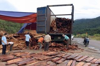Khởi tố vụ buôn lậu lô gỗ quý trị giá hàng tỷ đồng qua cửa khẩu La Lay