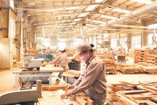 Hoạt động xuất khẩu của ngành gỗ tăng liên tiếp