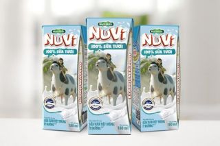 Nutifood đăng kí sáng chế thức ăn chăn nuôi bò sữa bổ sung thảo mộc