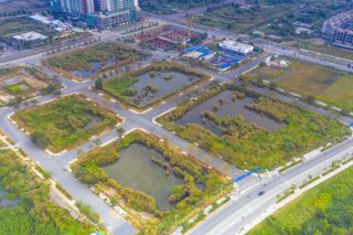 Rà soát, sửa đổi quy định xử lý việc đấu giá đất có dấu hiệu bất thường