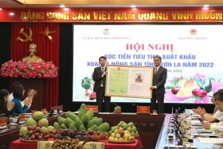 Trao Giấy chứng nhận đăng ký nhãn hiệu cho 03 sản phẩm của tỉnh Sơn La