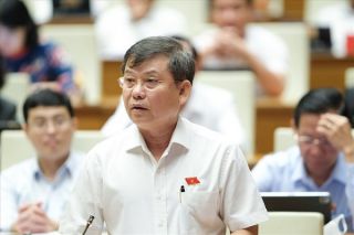 Đại biểu Quốc hội: Miễn, giảm thuế là một quyết sách đúng, kịp thời